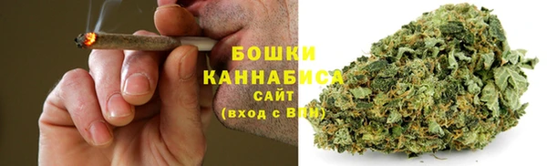 спайс Рославль