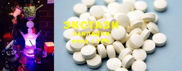крисы Бородино