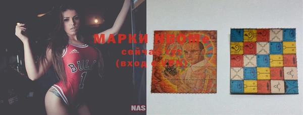 крисы Бородино