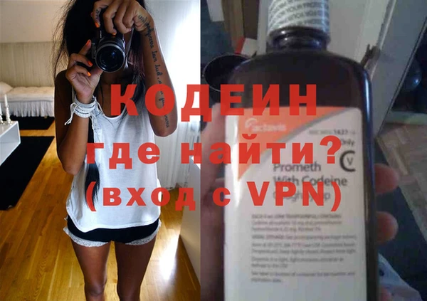 крисы Бородино