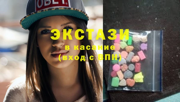 крисы Бородино