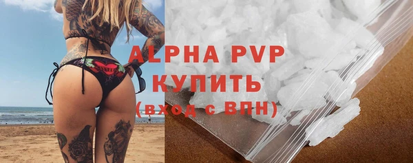 крисы Бородино