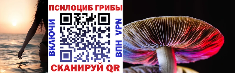 Галлюциногенные грибы Psilocybe  Дмитров 